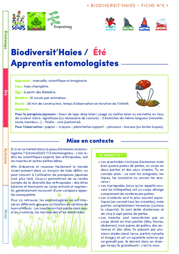 fiche_5_-_Apprentis_entomologistes.pdf